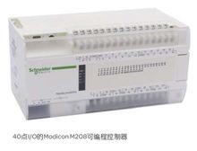 施耐德Modicon TM208系列PLC TM208LDA24DRN可編程控制器